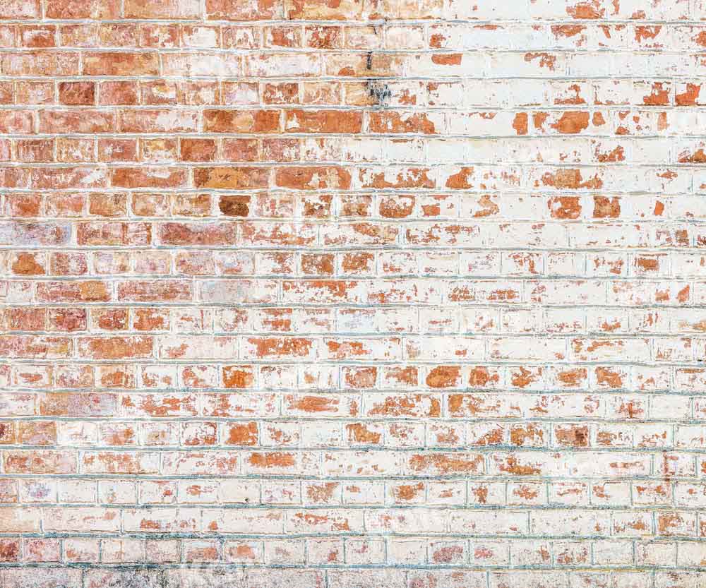 Kate Mixed Red White Bricks Backdrop Designed by Kate Image - Kate Backdrop AU