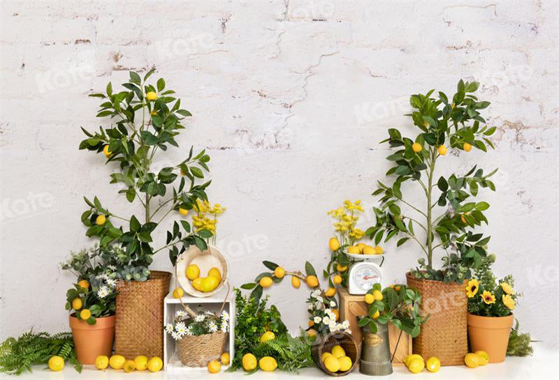 Kate Summer Lemon Tree Backdrop for Photography - Kate Backdrop AU
