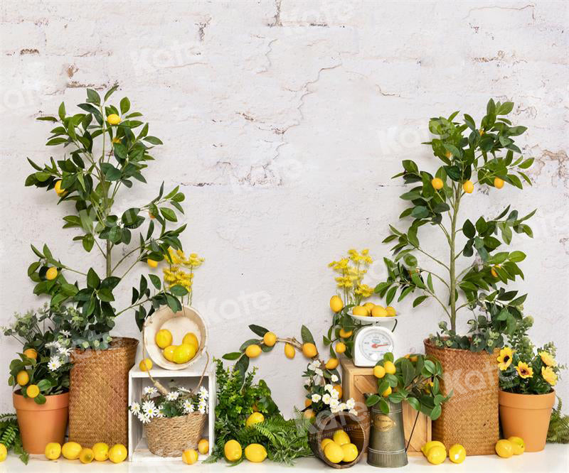 Kate Summer Lemon Tree Backdrop for Photography - Kate Backdrop AU