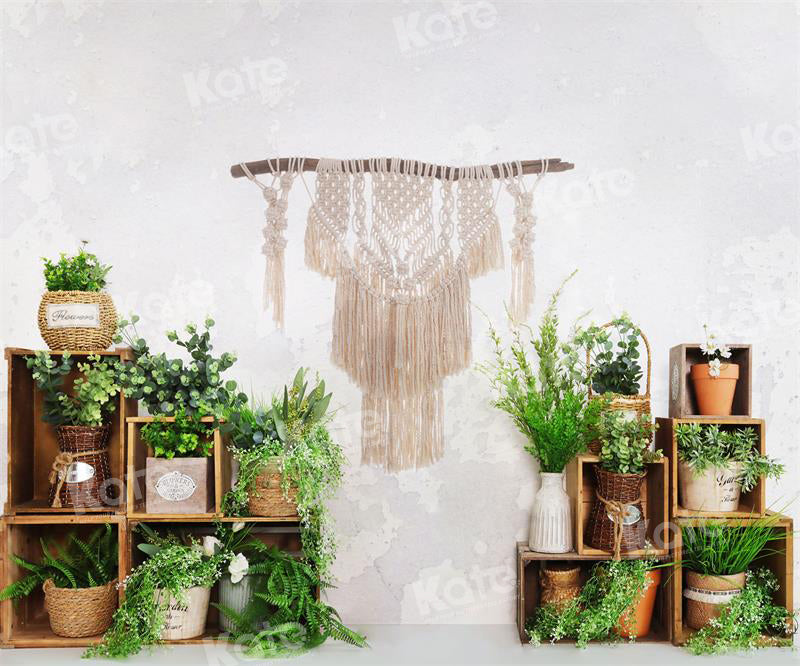 Kate Spring/Summer Boho Plants White Wall Backdrop for Photography - Kate Backdrop AU