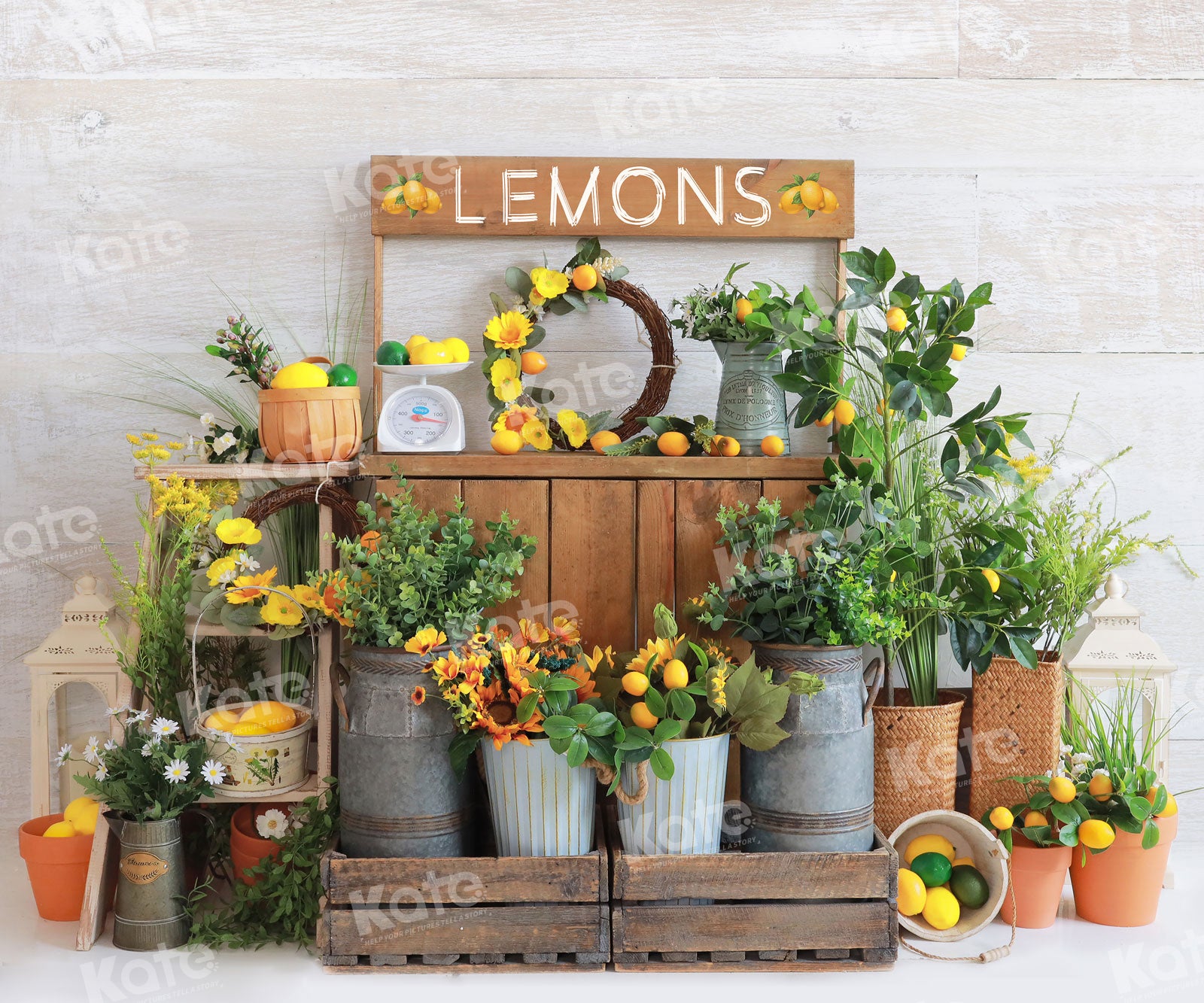 Kate Spring/Summer Sell Lemon Cart Backdrop for Photography - Kate Backdrop AU