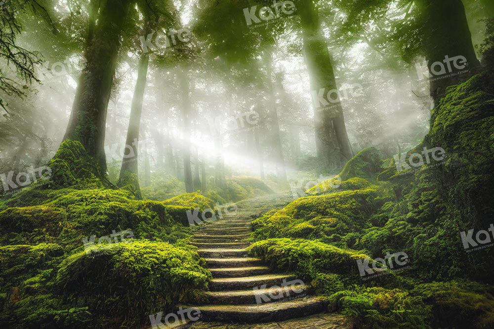 Kate Jungle Trail Backdrop Green Forest Designed by Chain Photography - Kate Backdrop AU