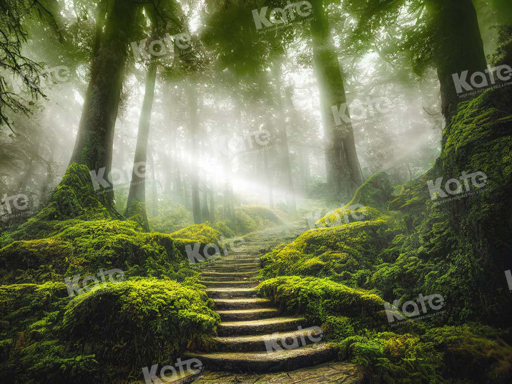 Kate Jungle Trail Backdrop Green Forest Designed by Chain Photography - Kate Backdrop AU