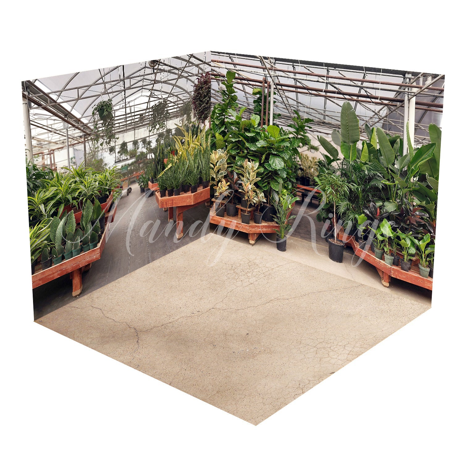 Kate Tropical Greenhouse Interior Summer Plants Room Set Designed by Mandy Ringe Photography(8ftx8ft&10ftx8ft&8ftx10ft) - Kate Backdrop AU