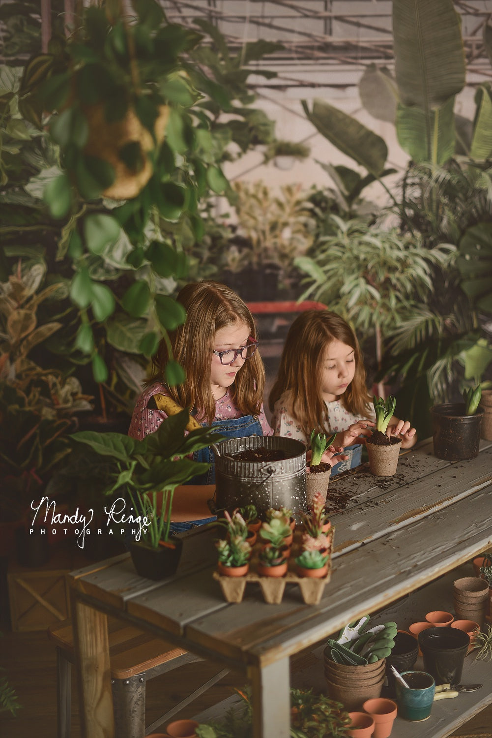 Kate Tropical Greenhouse Interior Backdrop Designed by Mandy Ringe Photography - Kate Backdrop AU