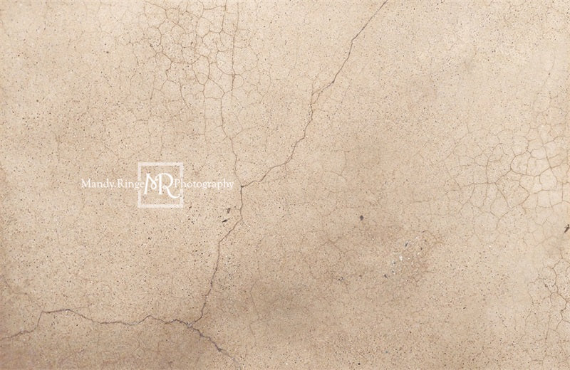 Kate Worn Cracked Terrazzo Backdrop Designed by Mandy Ringe Photography - Kate Backdrop AU