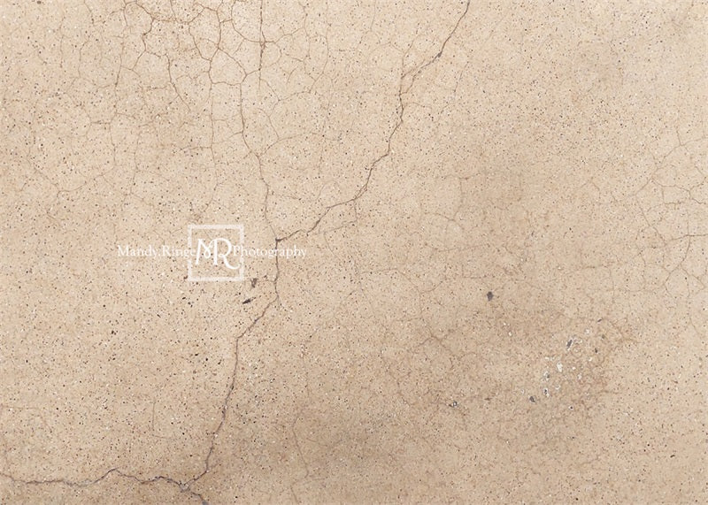 Kate Worn Cracked Terrazzo Backdrop Designed by Mandy Ringe Photography - Kate Backdrop AU