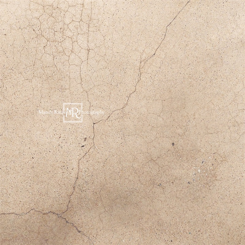 Kate Worn Cracked Terrazzo Backdrop Designed by Mandy Ringe Photography - Kate Backdrop AU