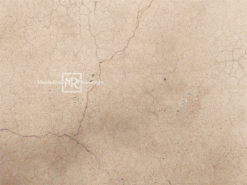 Kate Worn Cracked Terrazzo Backdrop Designed by Mandy Ringe Photography - Kate Backdrop AU