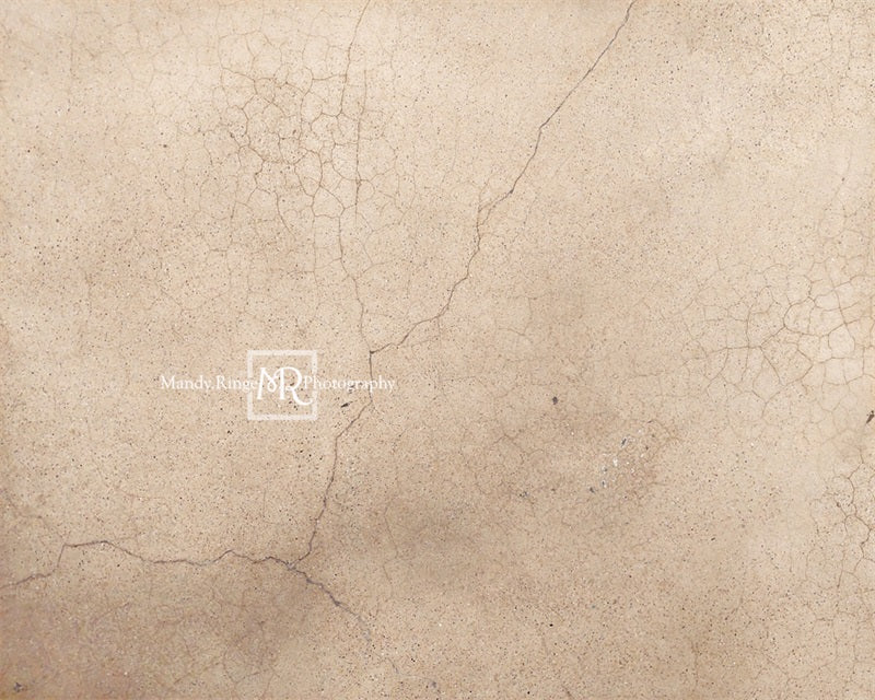 Kate Worn Cracked Terrazzo Backdrop Designed by Mandy Ringe Photography - Kate Backdrop AU