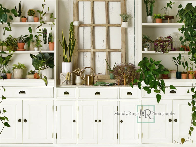 Kate Plant Lover Kitchen Backdrop Designed by Mandy Ringe Photography - Kate Backdrop AU