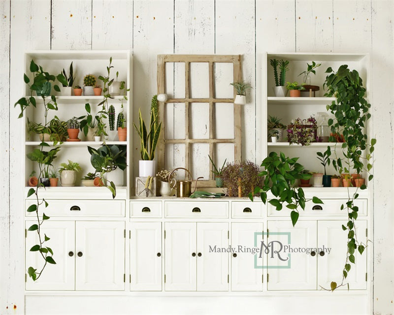 Kate Plant Lover Kitchen Backdrop Designed by Mandy Ringe Photography - Kate Backdrop AU