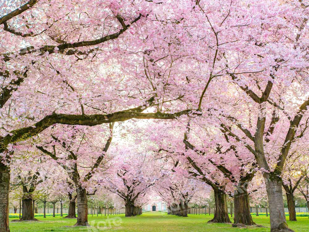 Kate Spring Cherry Blossoms Backdrop Designed by Emetselch - Kate Backdrop AU