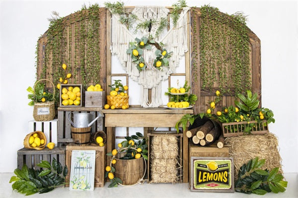 Kate Lemon Manor Backdrop Summer Haystack for Photography - Kate Backdrop AU