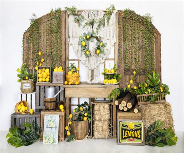 Kate Lemon Manor Backdrop Summer Haystack for Photography - Kate Backdrop AU