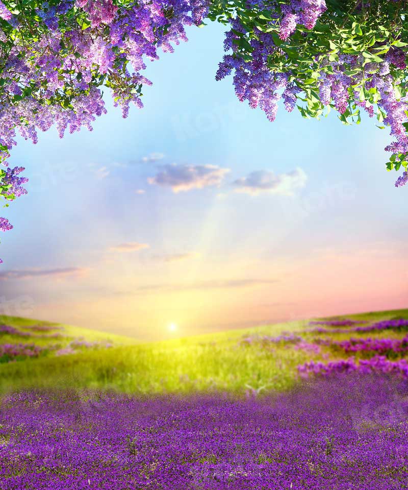 Kate Outdoor Purple Flowers Scenery Lavender Backdrop - Kate Backdrop AU