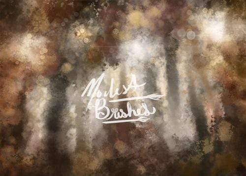 Kate Sunlit Woods Backdrop Designed by Modest Brushes - Kate Backdrop AU