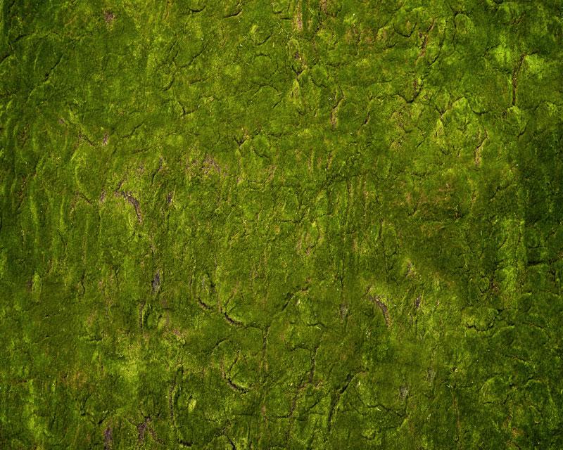 Kate Wonderland Grass Green Rubber Floor Mat Designed by Arica Kirby - Kate Backdrop AU