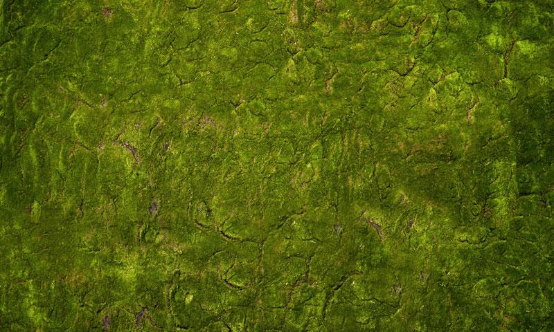 Kate Wonderland Grass Green Rubber Floor Mat Designed by Arica Kirby - Kate Backdrop AU