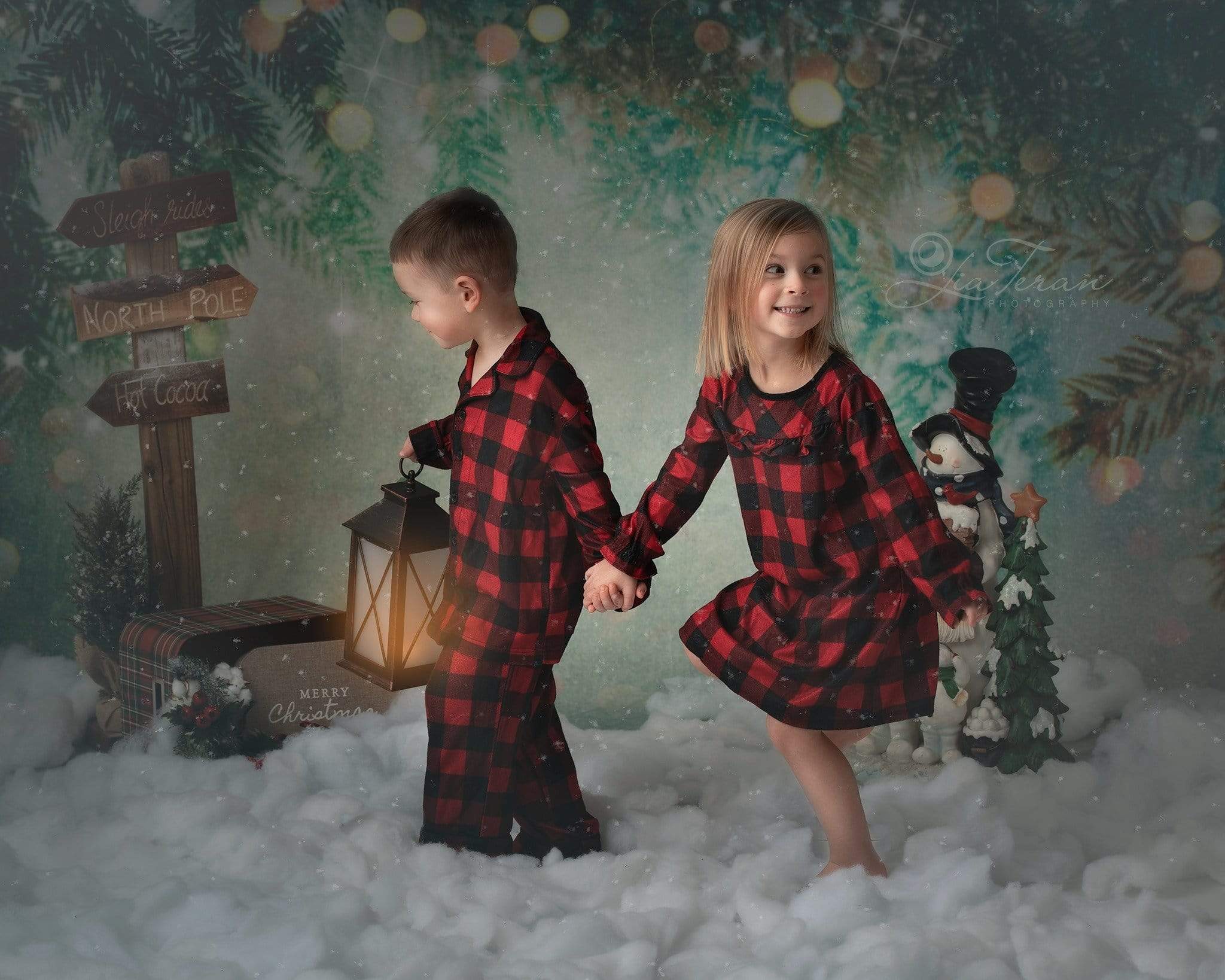 Kate Fantasy Christmas Pine tree branch winter Bokeh Backdrops for Photography - Kate Backdrop AU