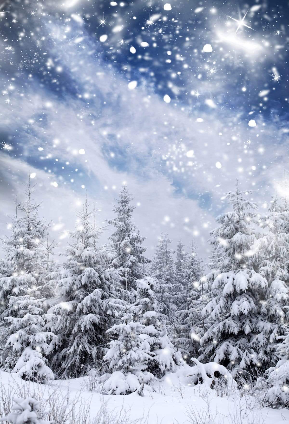 Kate Winter Wonderland Forest With Snowflakes for Photography - Kate Backdrop AU