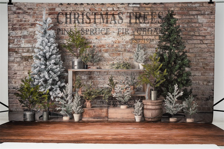 Kate Farm Fresh Backdrop Tree Stand Christmas Designed by Mandy Ringe Photography - Kate Backdrop AU