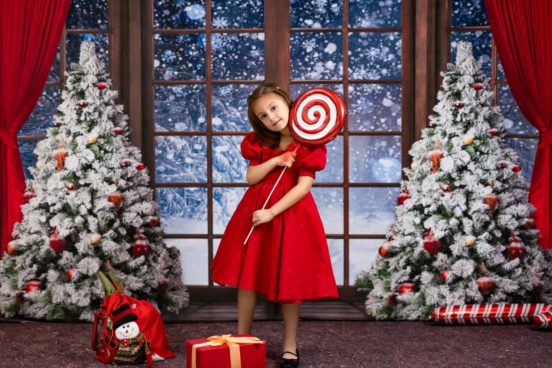 Kate Winter Snow Christmas Window Backdrop Designed by Chain Photography - Kate Backdrop AU