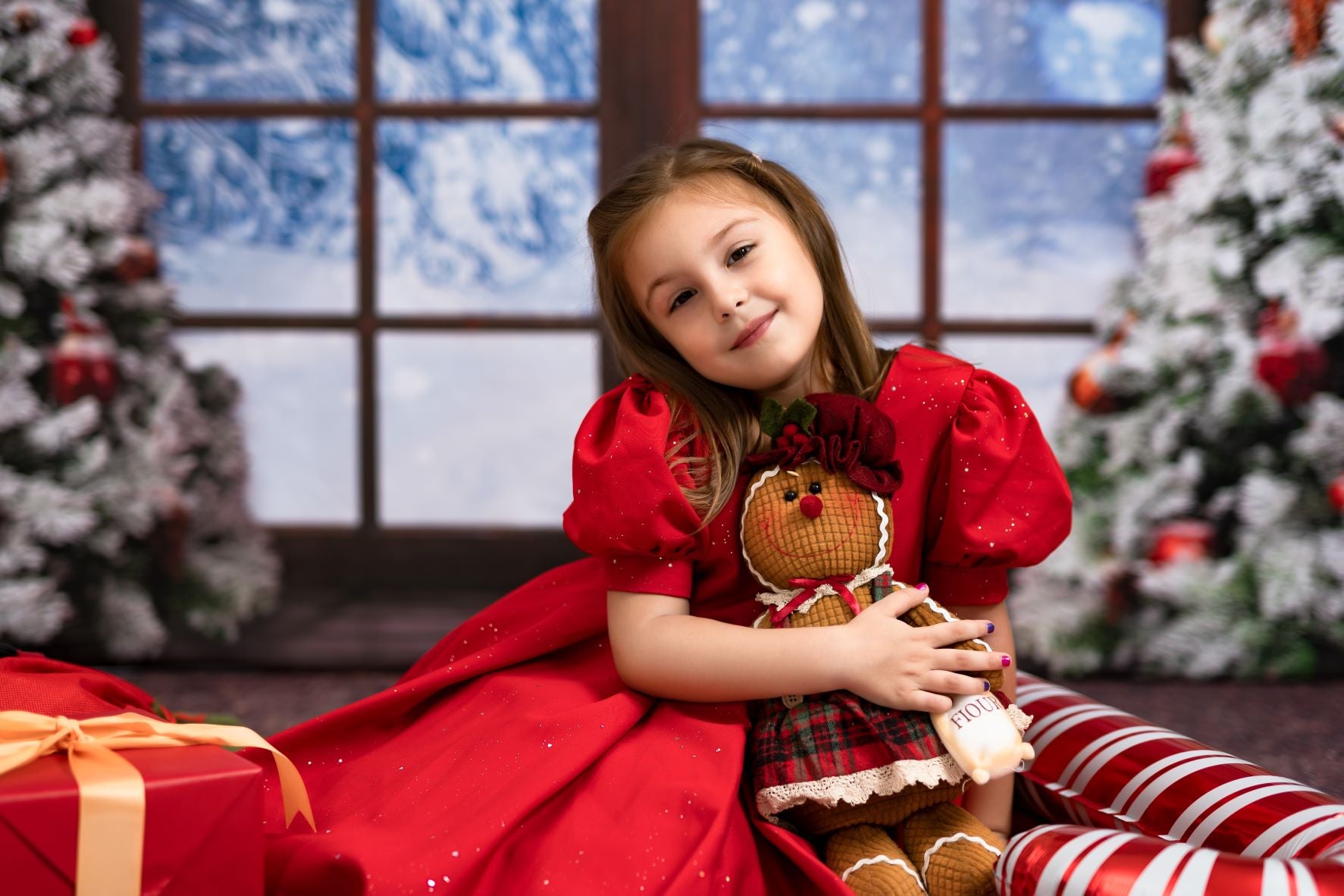 Kate Winter Snow Christmas Window Backdrop Designed by Chain Photography - Kate Backdrop AU