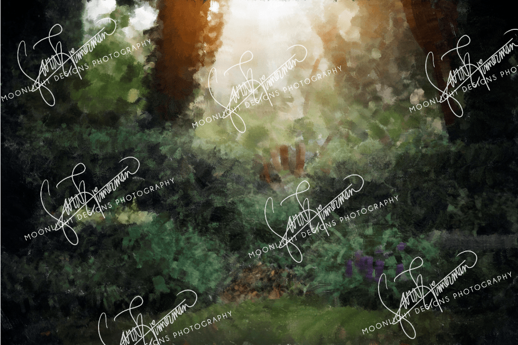 Kate Southern Summer Backdrop for Photography Designed by Sarah Timmerman - Kate Backdrop AU