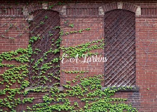 Kate Brick Lvy Backdrop for Photography Designed By Erin Larkins - Kate Backdrop AU