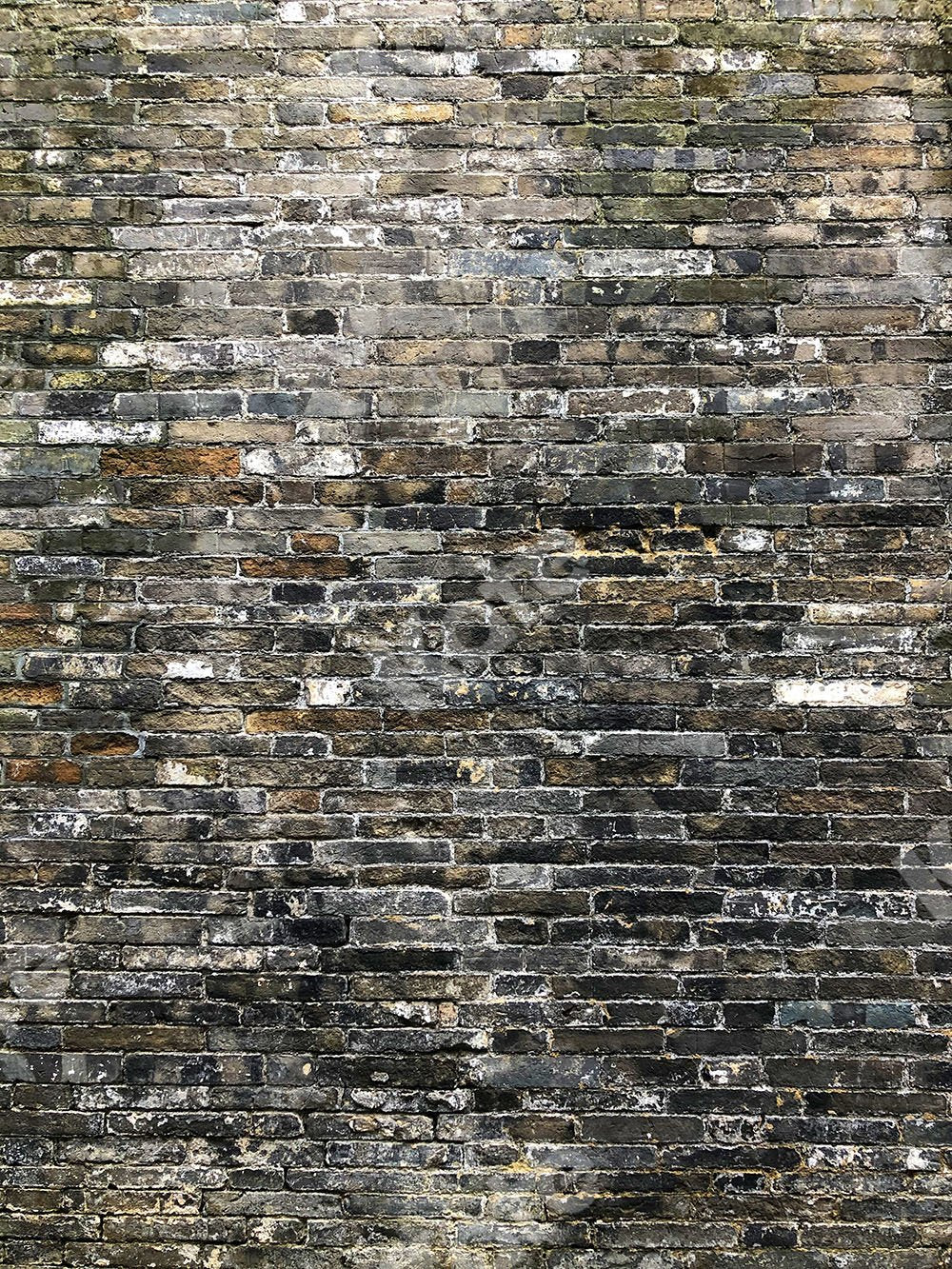 Kate Brick Backdrop Black&Grey Designed by Kate Image - Kate Backdrop AU