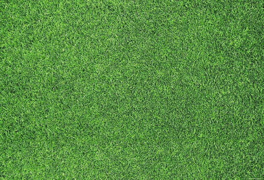 Katebackdrop AU Green Grassland Spring/Easter Rubber Mat Floor Drop