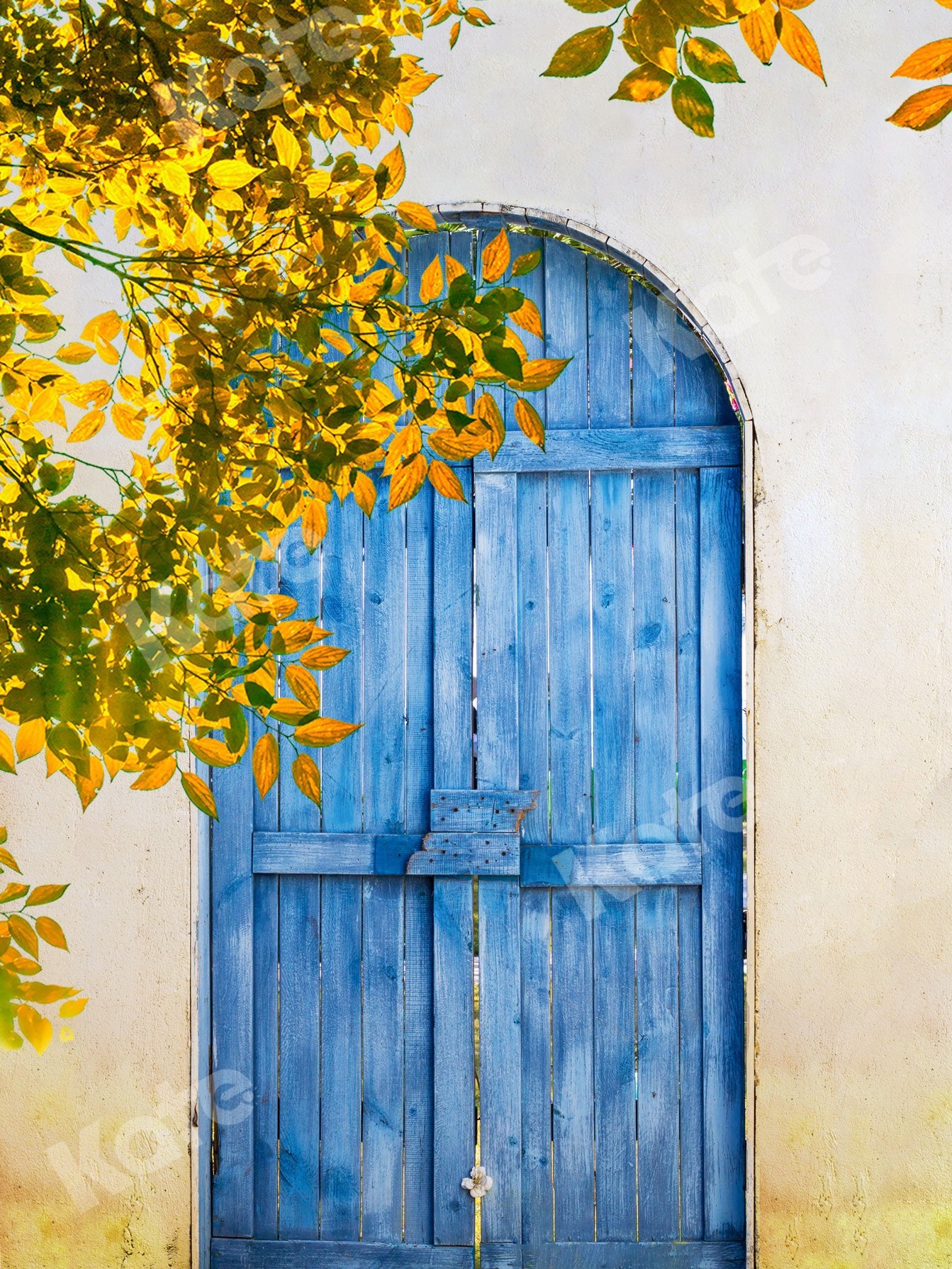 Kate Summer Blue Wooden Door With Leaves Backdrop Designed by Jia Chan Photography - Kate Backdrop AU