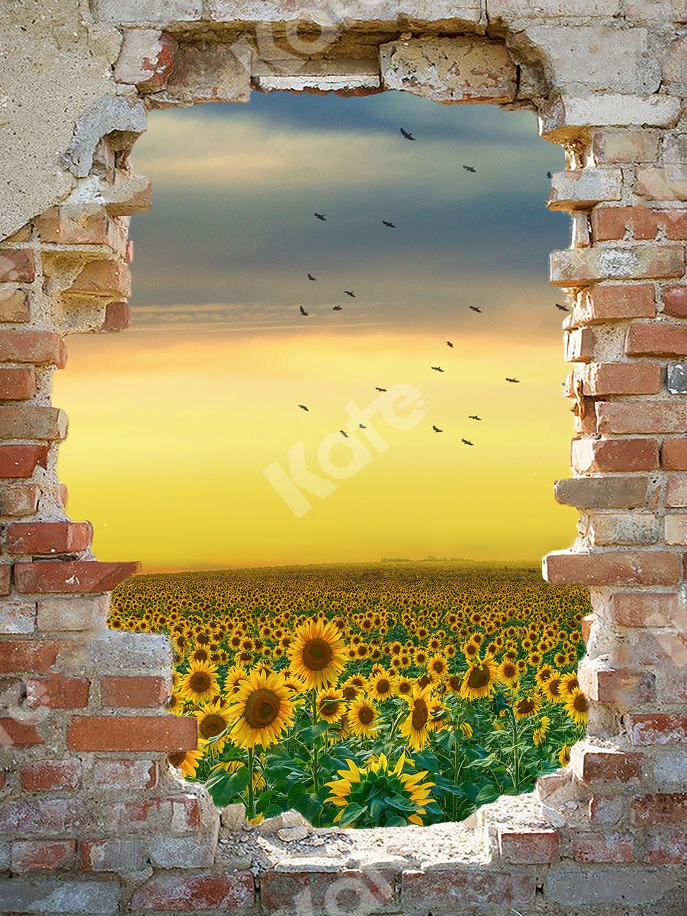 Kate Sunflower Field Backdrop with Broken Wall Designed by Chain Photography - Kate Backdrop AU