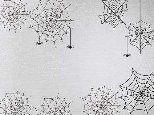 Kate Halloween Spiderweb Light Color Backdrop for Photography Designed By Jerry_Sina - Kate Backdrop AU