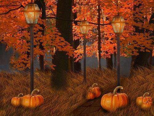 Kate Fall Maple Leaves Thanksgiving Pumpkin Backdrop for Photography Designed By Jerry_Sina - Kate Backdrop AU
