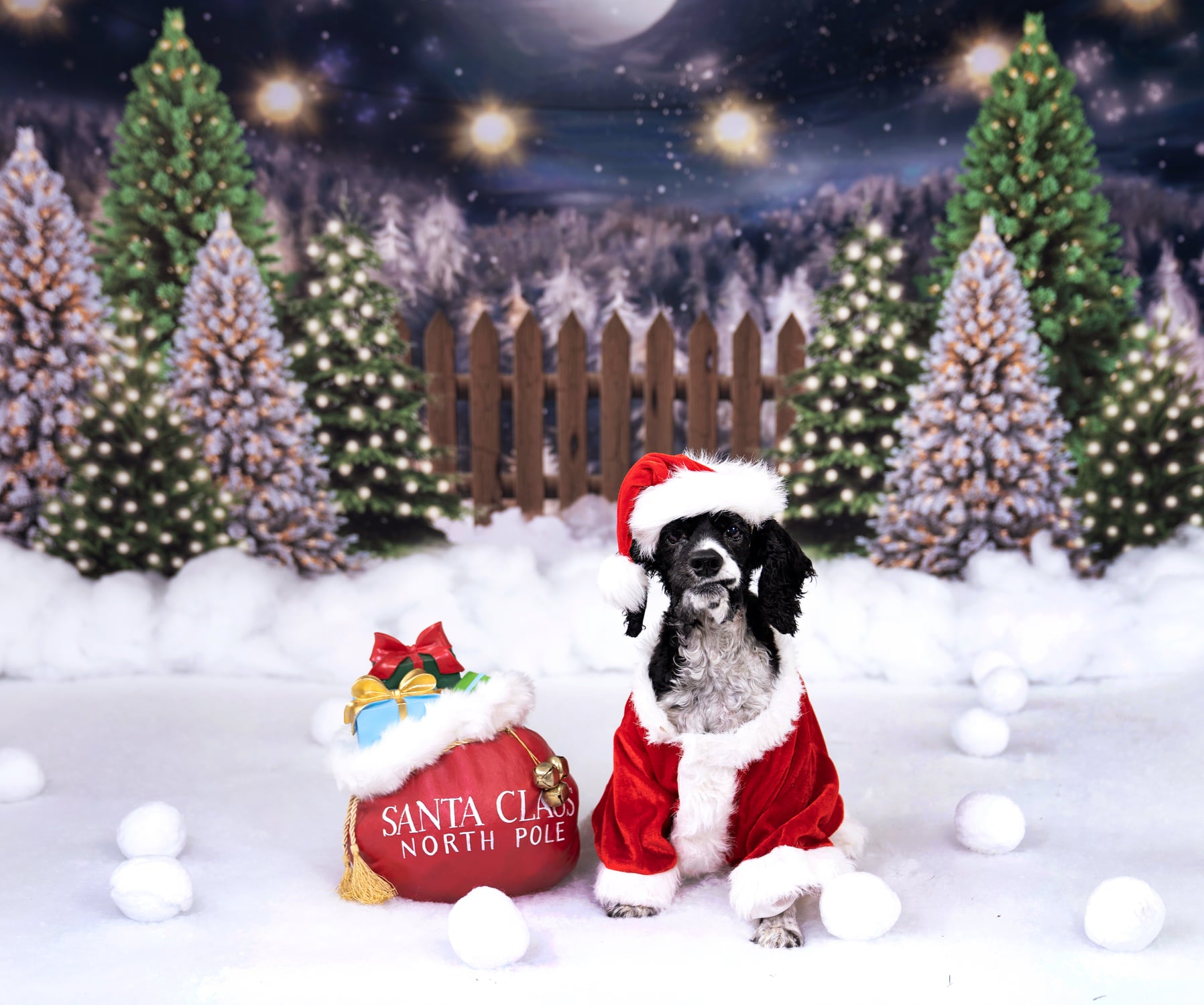 Kate Christmas Night Pine Trees Farm Backdrop Designed By Jerry_Sina - Kate Backdrop AU