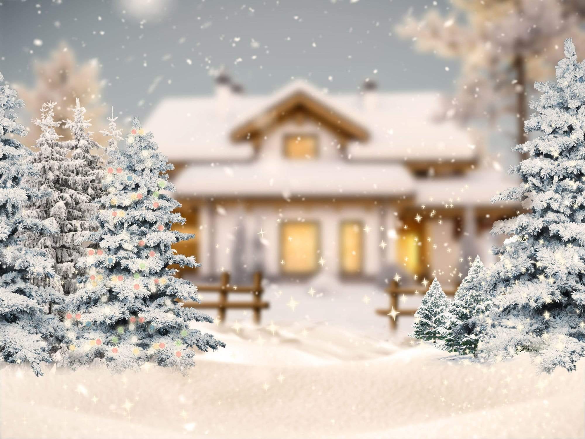 Kate Christmas Winter Trees House Backdrop Designed By Jerry_Sina - Kate Backdrop AU
