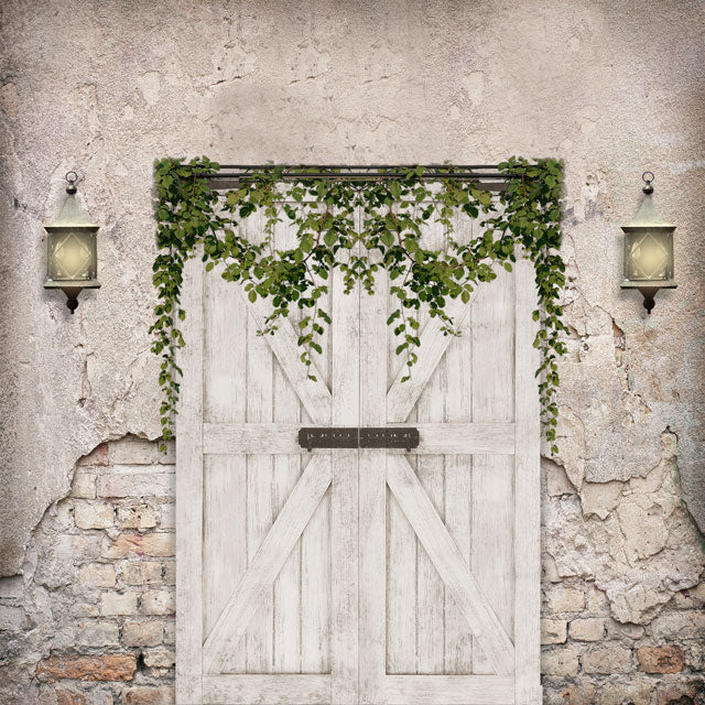 Kate Spring Vintage Wall Backdrop Barn Door for Photography - Kate Backdrop AU