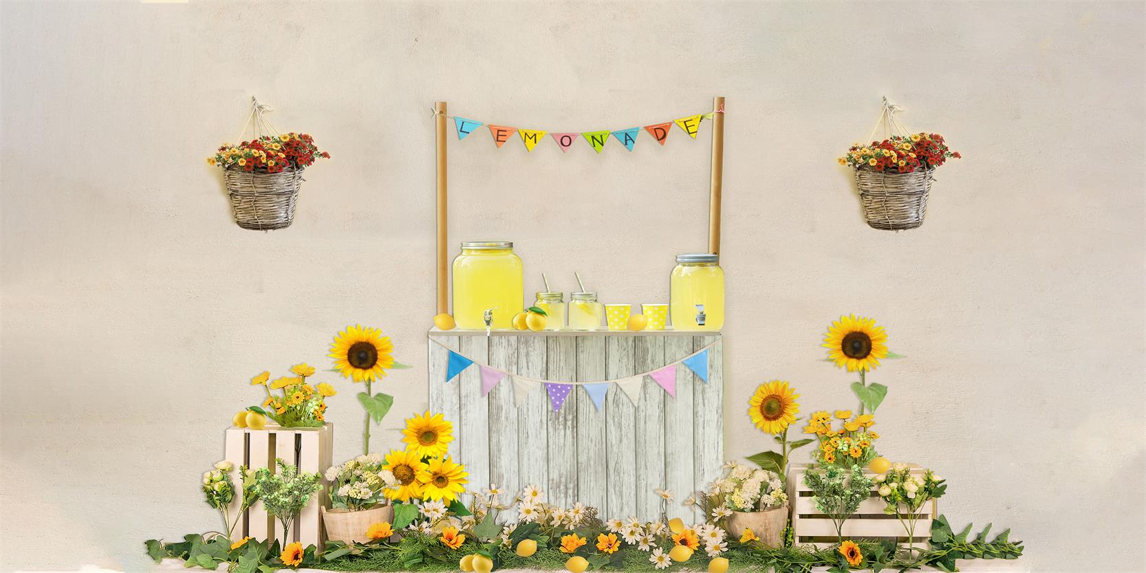 Kate Summer Children Lemonade Stand Backdrop for Photography Designed by JFCC - Kate Backdrop AU