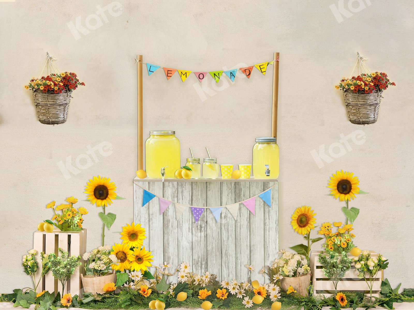 Kate Summer Children Lemonade Stand Backdrop for Photography Designed by JFCC - Kate Backdrop AU