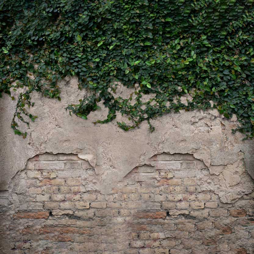 Kate Spring Damaged Wall with Grass Backdrop for Photography - Kate Backdrop AU