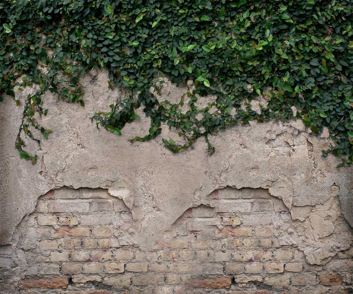 Kate Spring Damaged Wall with Grass Backdrop for Photography - Kate Backdrop AU