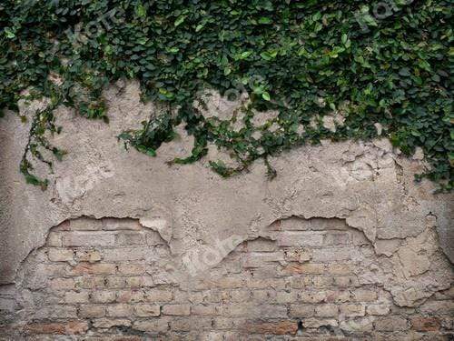 Kate Spring Damaged Wall with Grass Backdrop for Photography - Kate Backdrop AU