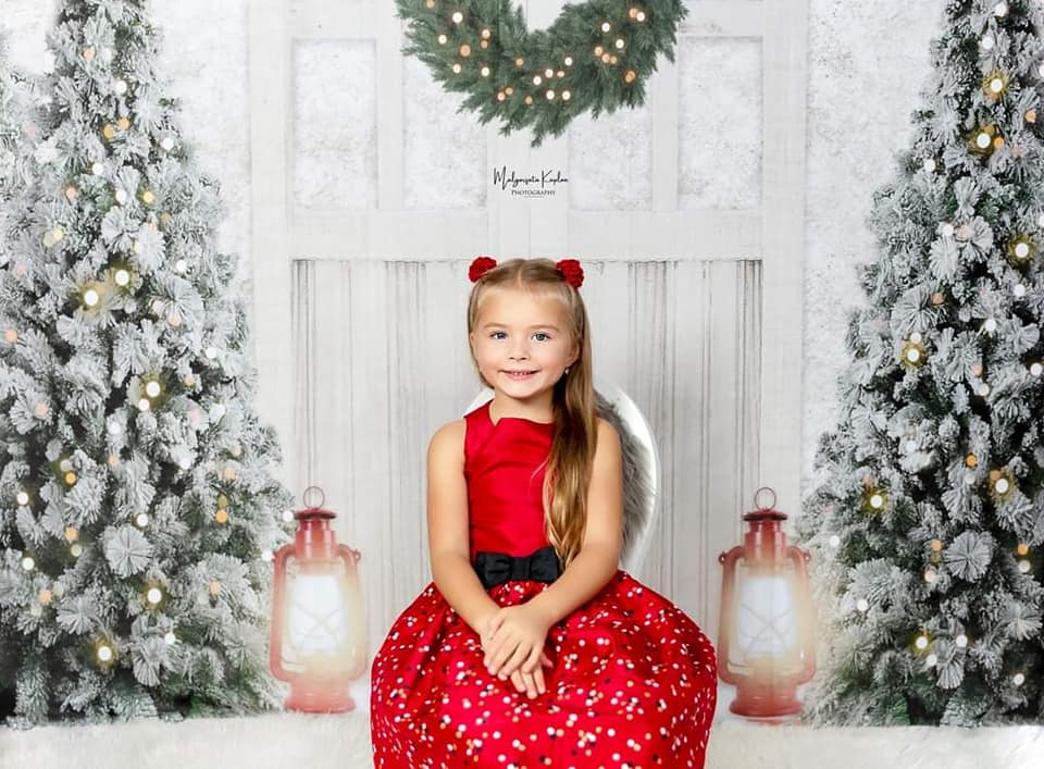 Kate Christmas Backdrop Xmas Trees Door for Photography - Kate Backdrop AU