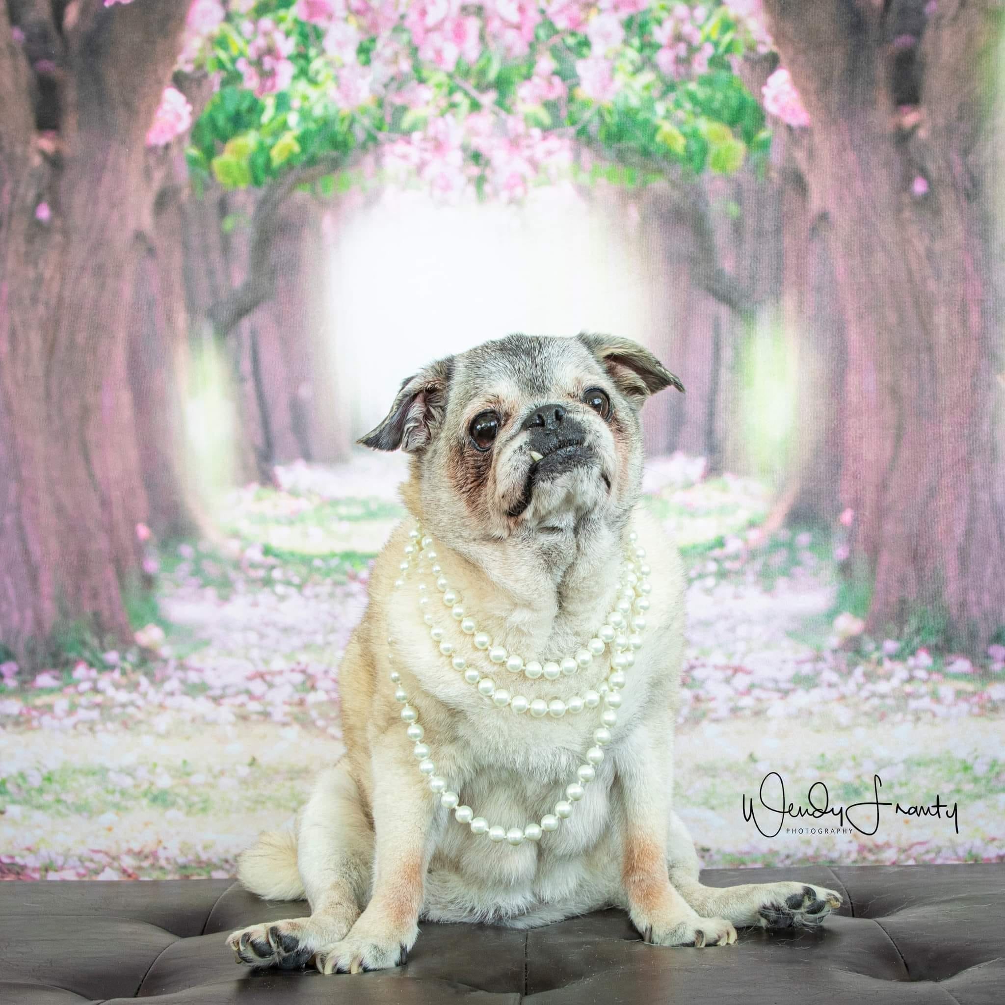 Kate Pink Flower Path Backdrop for Wedding Backdrop Spring - Kate Backdrop AU