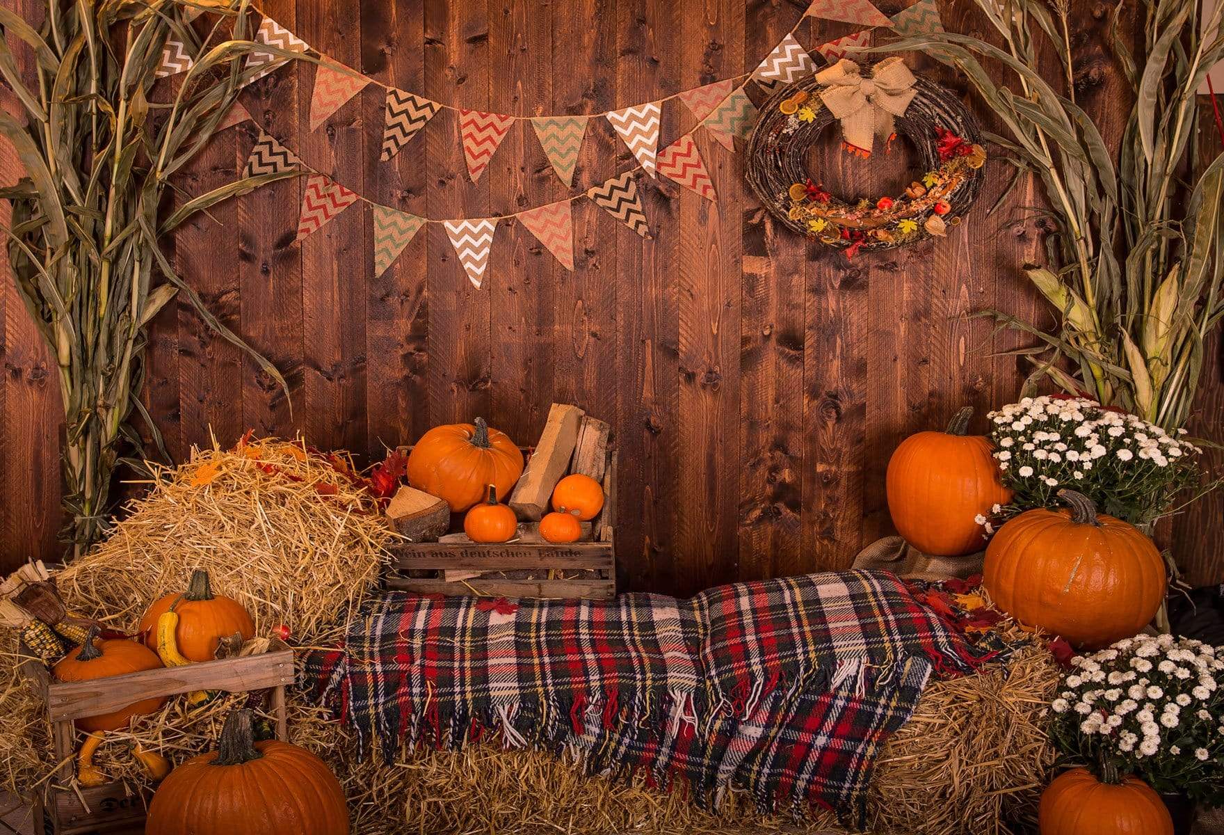 Kate Fall Pumpkin Straw Wood Daisy for Pictures - Kate Backdrop AU