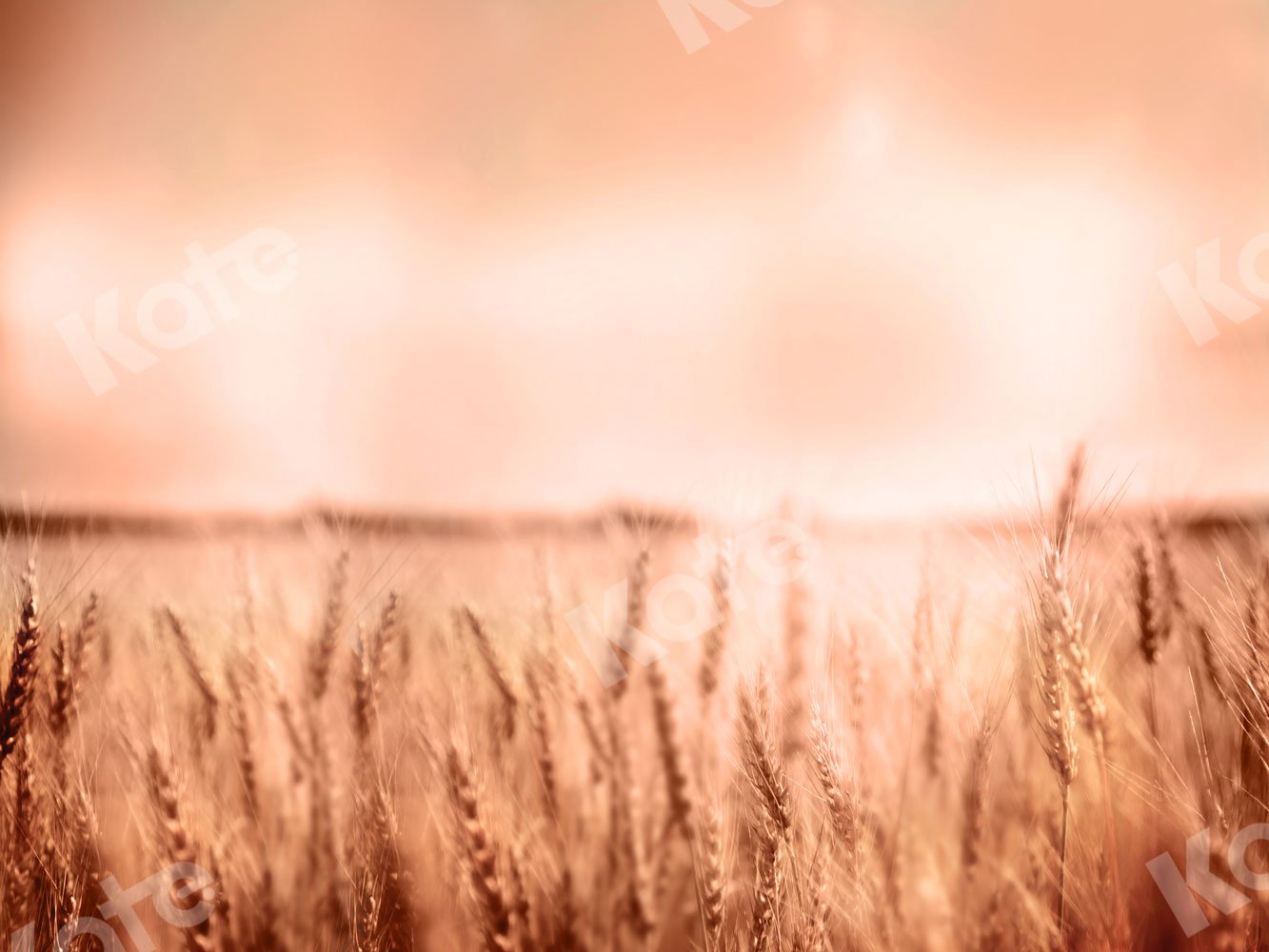 Kate Fall Backdrop Wheatfield for Photography - Kate Backdrop AU