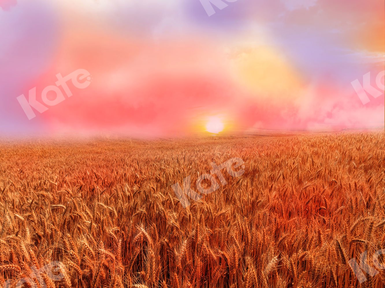 Kate Fall Backdrop Sunset Wheatfield for Photography - Kate Backdrop AU