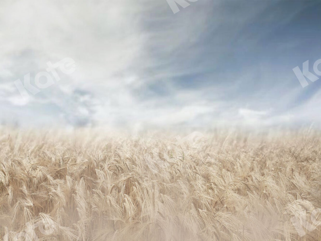 Kate Fall Backdrop Blurred Wheatfield for Photography - Kate Backdrop AU